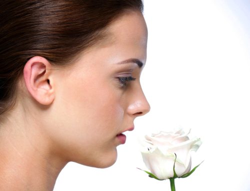 Rhinoplasty Final Results Timeline